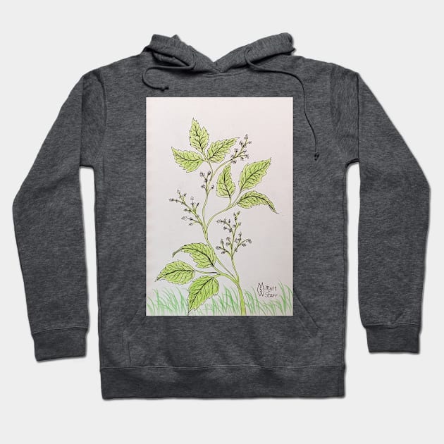 Leaves of three, let it be Hoodie by Matt Starr Fine Art